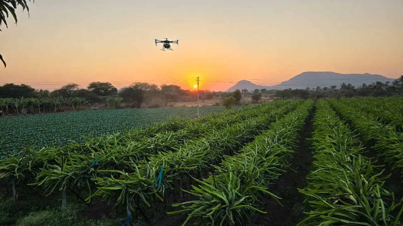 Drone Pest Management